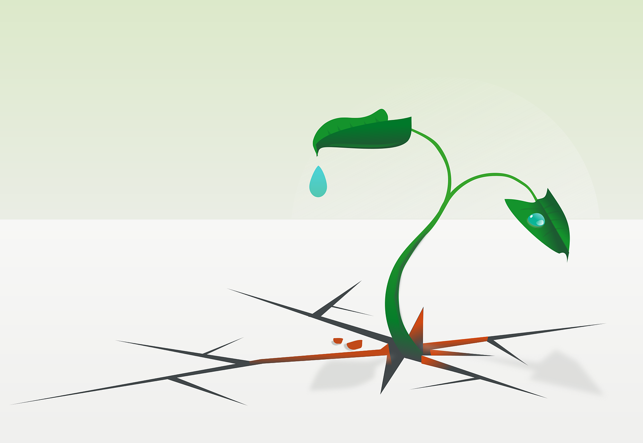 entdecken sie, wie emotionale resilienz ihnen hilft, stress zu bewältigen, herausforderungen zu meistern und ihre innere stärke zu entfalten. tipps und strategien zur förderung ihres seelischen wohlbefindens.