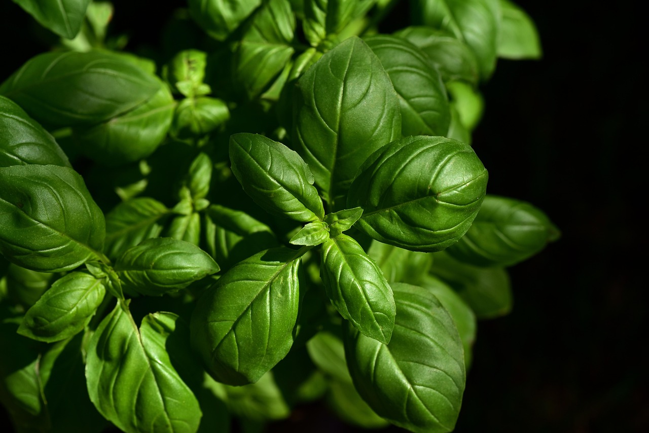 entdecken sie die geheimen tricks und besten tipps der kulinarik! unsere seite culinary secrets bietet ihnen exklusive rezepte, einzigartige geschmackserlebnisse und insiderwissen rund um die welt des kochens.